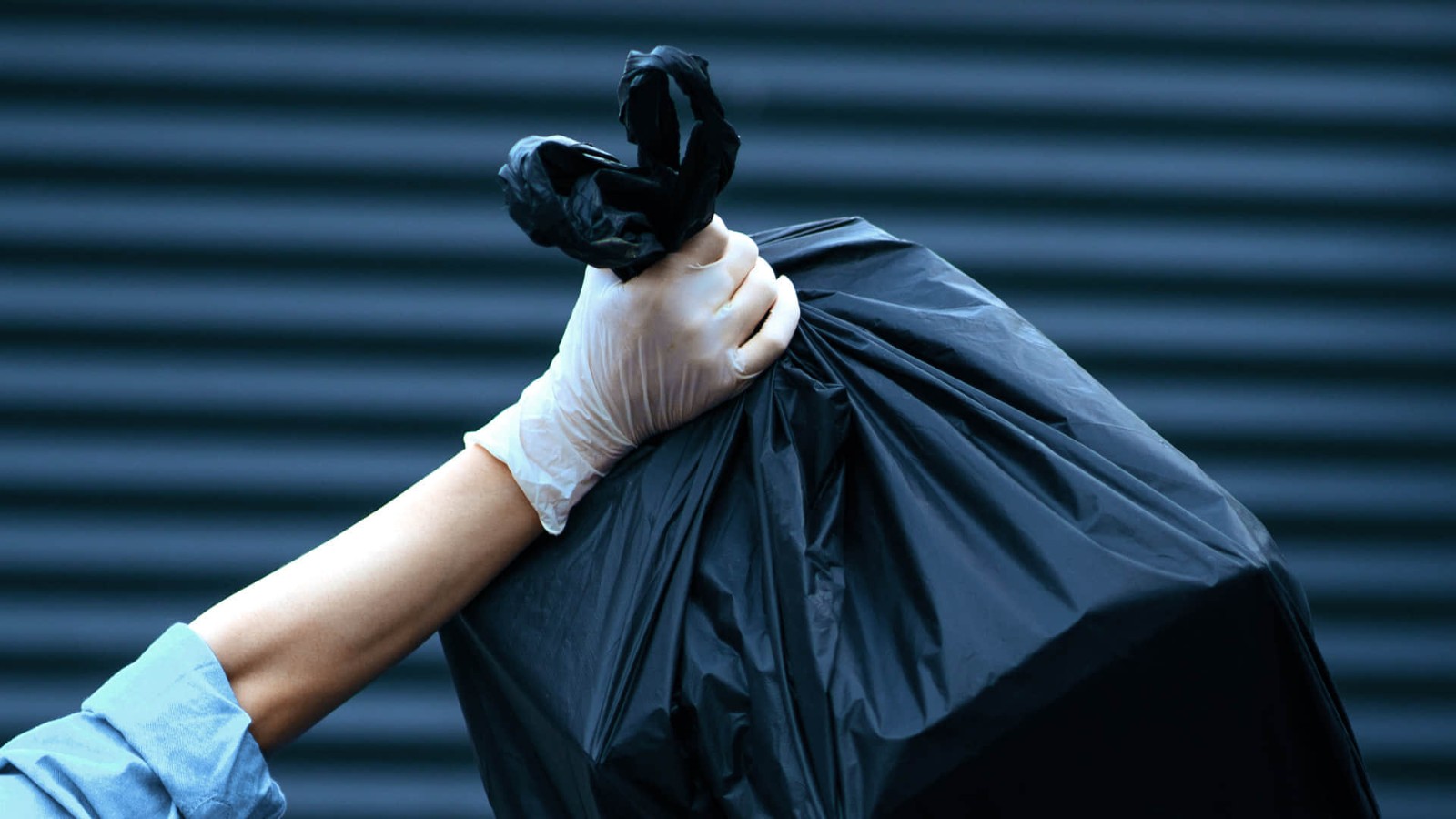 1669303142fc70b17a0a7af9b8