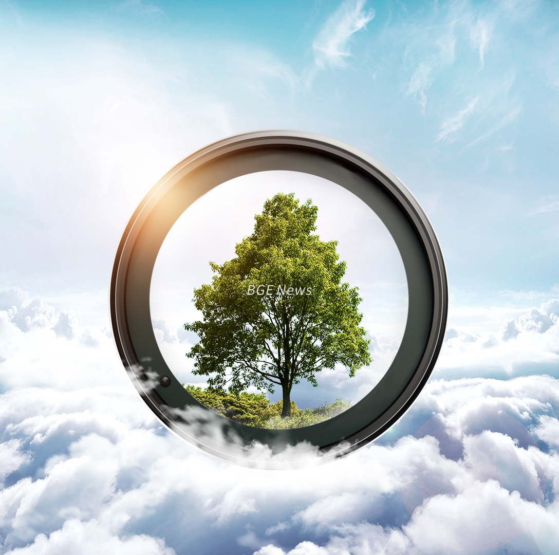 16934595083d97f856cbb11aa0