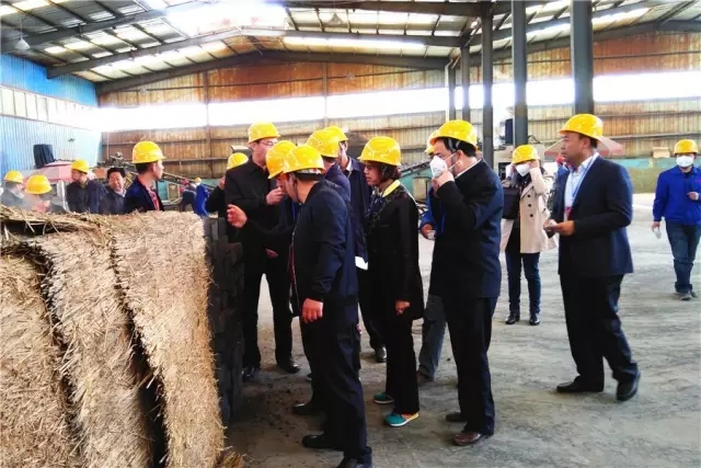 20f6da26a5295e636eb6eb0ee95ebfa3