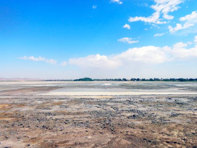 31a29d3df72df8ac958eb79d9a7600fa