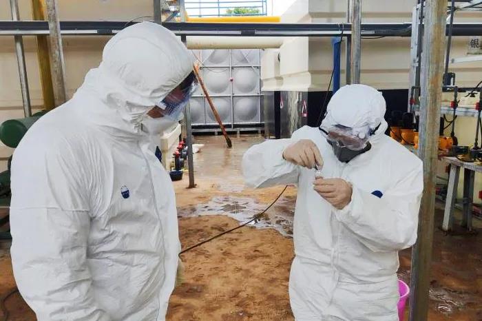 5e8f0ce56141bebdd59df7f877265cda