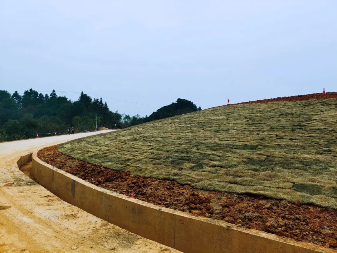 78e5543aa67f52bc264ccab5bbdf4639