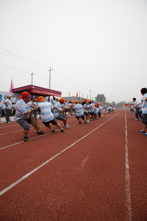 8d7451754df30da40aae41a3551e644f