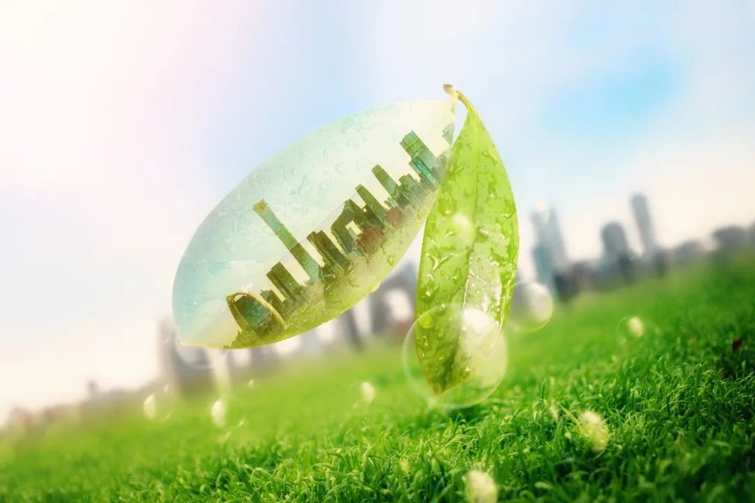 96d0f0af8dd0a93ff3e15d57b06b1f81