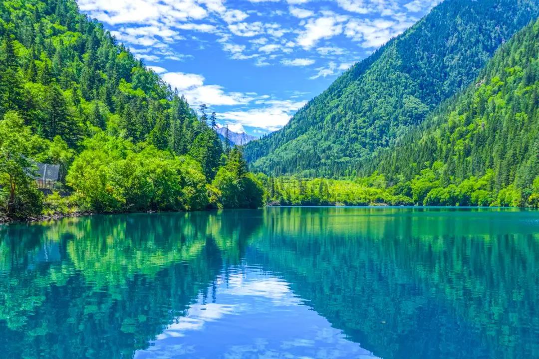 f7b455f8e04b8a814a44dc67980bf8bc