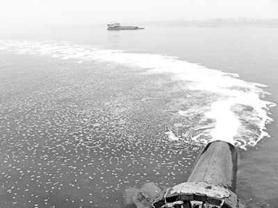 ff3ac3fd977d94b7c09f39de74d6506a