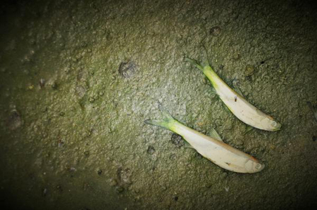 亚洲必赢·(中国区)唯一官方网站